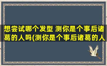 想尝试哪个发型 测你是个事后诸葛的人吗(测你是个事后诸葛的人，看看哪个发型适合你)